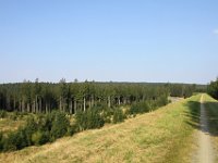IMG 7700