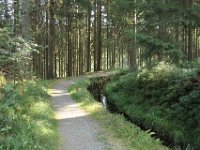 IMG 7705
