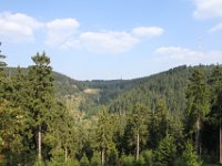 IMG 7740