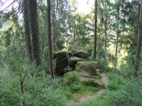 IMG 7745