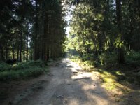 IMG 7755