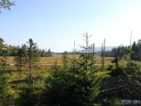 IMG 7757