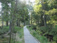 IMG 7761