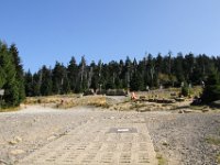 IMG 7771