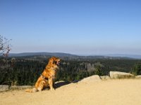 IMG 7779