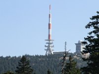 IMG 7785