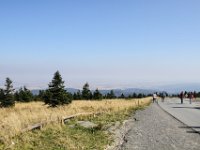 IMG 7819