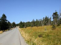 IMG 7823