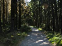 IMG 7826