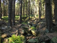 IMG 7831