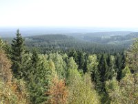 IMG 7835