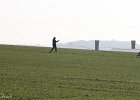 Carmen Straub