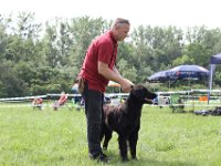 IMG 5702