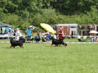 IMG 5741