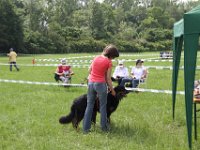 IMG 5748