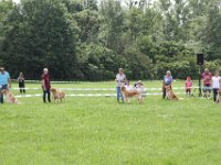 IMG 5755