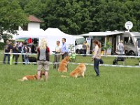 IMG 5782