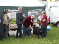 IMG 6309