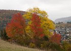 IMG 0023