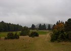 IMG 0039