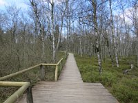 IMG 0211