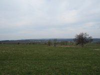 IMG 0257