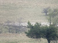 IMG 0260