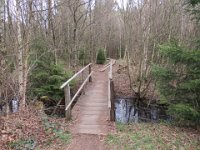 IMG 0271