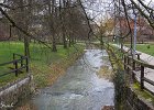 IMG 2041