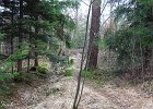 IMG 2061