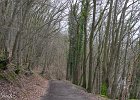 IMG 2067
