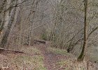 IMG 2086
