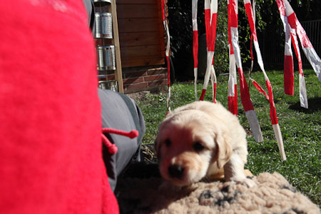 Albersweiler 20111015