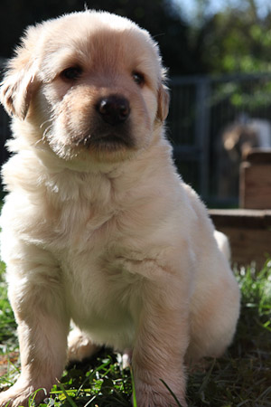 Albersweiler 20111015